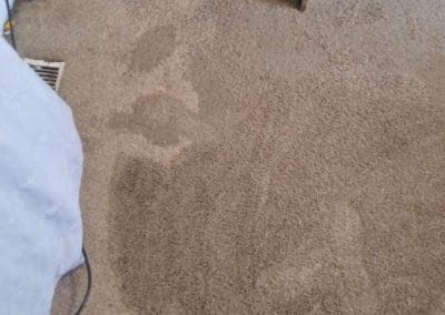 Wet Carpet Restoration Eugene